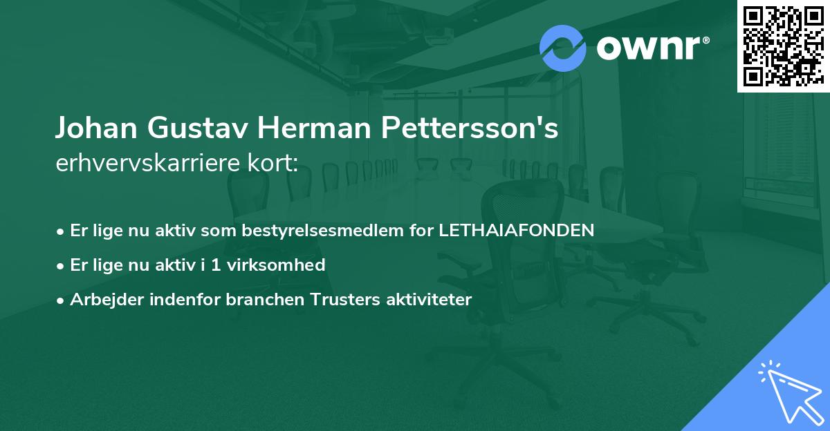 Johan Gustav Herman Pettersson's erhvervskarriere kort