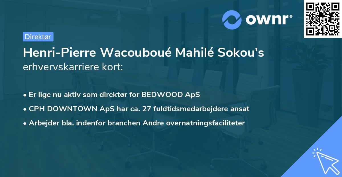 Henri-Pierre Wacouboué Mahilé Sokou's erhvervskarriere kort