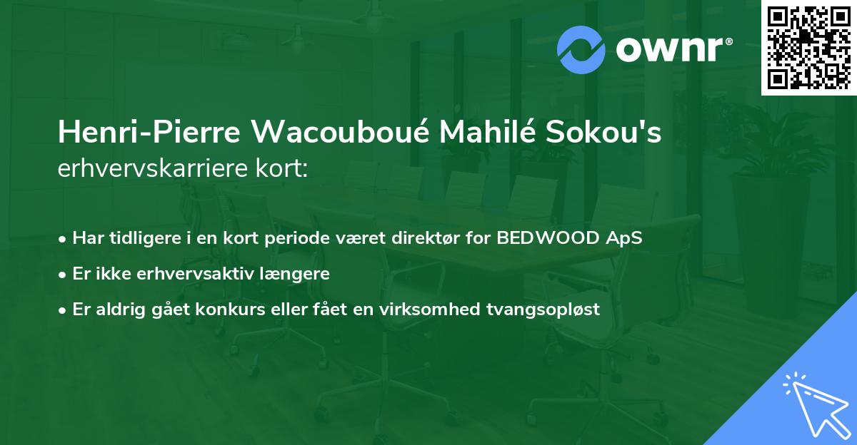 Henri-Pierre Wacouboué Mahilé Sokou's erhvervskarriere kort