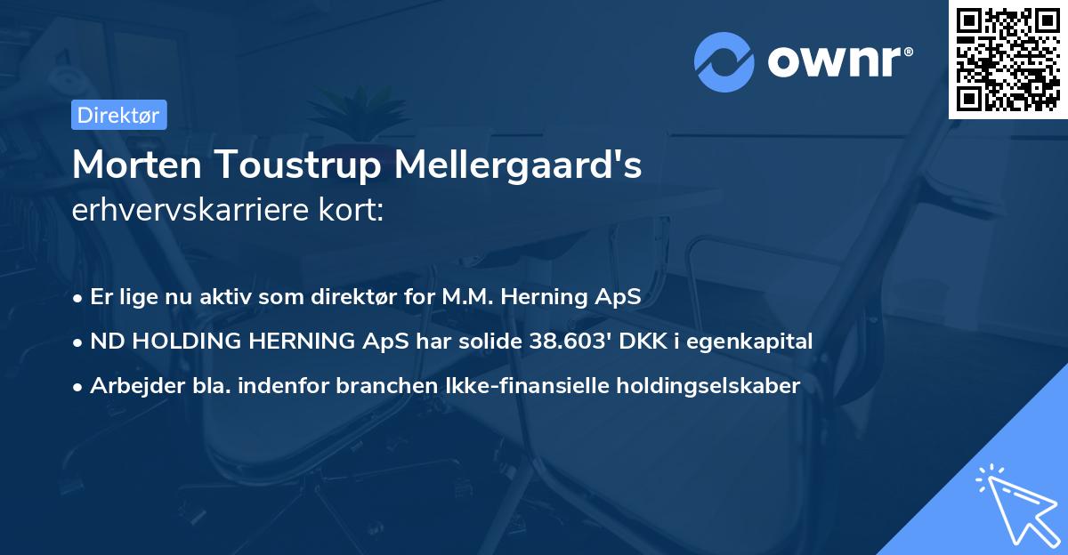 Morten Toustrup Mellergaard's erhvervskarriere kort