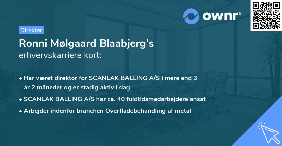 Ronni Mølgaard Blaabjerg's erhvervskarriere kort