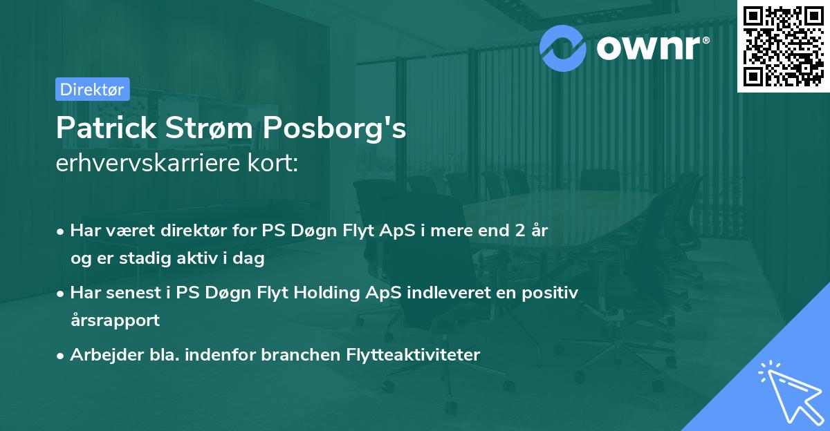 Patrick Strøm Posborg's erhvervskarriere kort