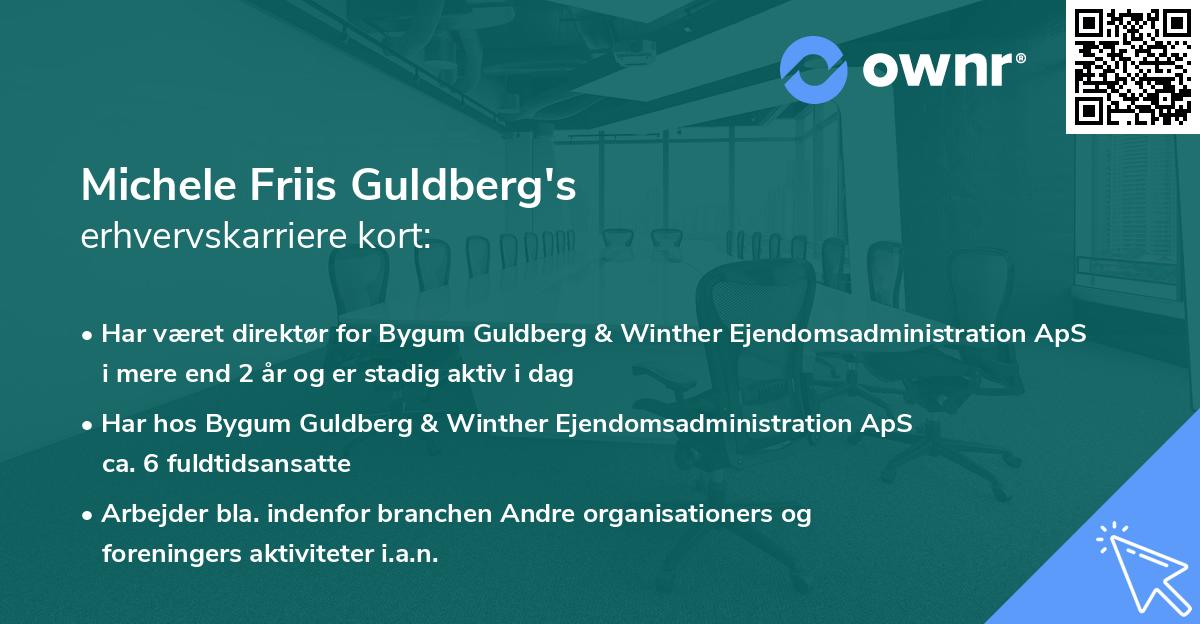 Michele Friis Guldberg's erhvervskarriere kort