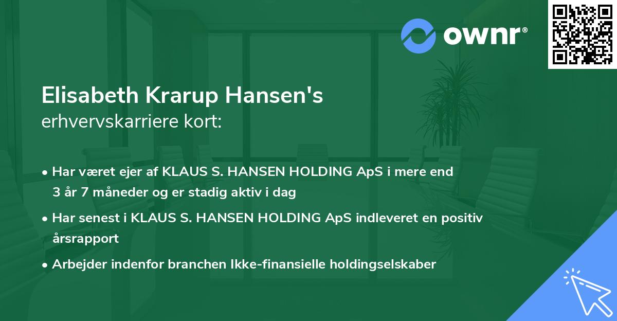 Elisabeth Krarup Hansen's erhvervskarriere kort