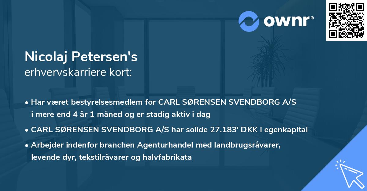Nicolaj Petersen's erhvervskarriere kort