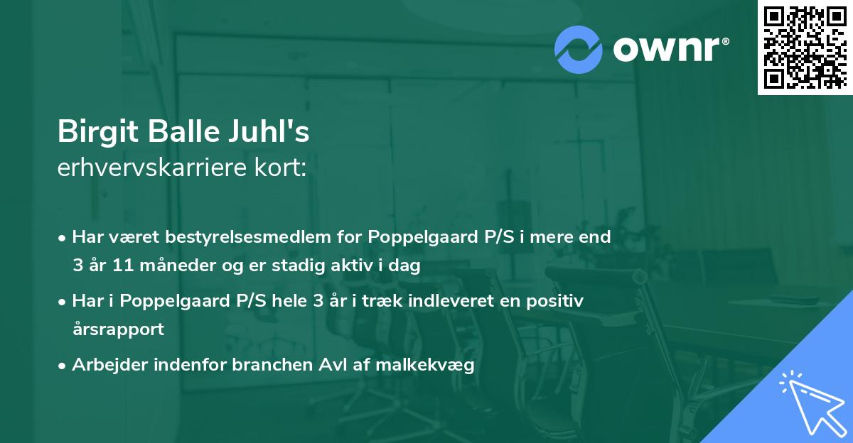 Birgit Balle Juhl's erhvervskarriere kort