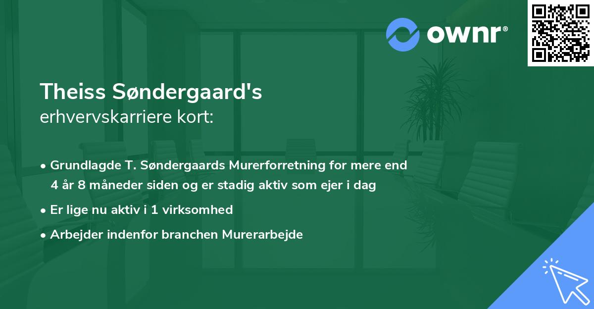 Theiss Søndergaard's erhvervskarriere kort