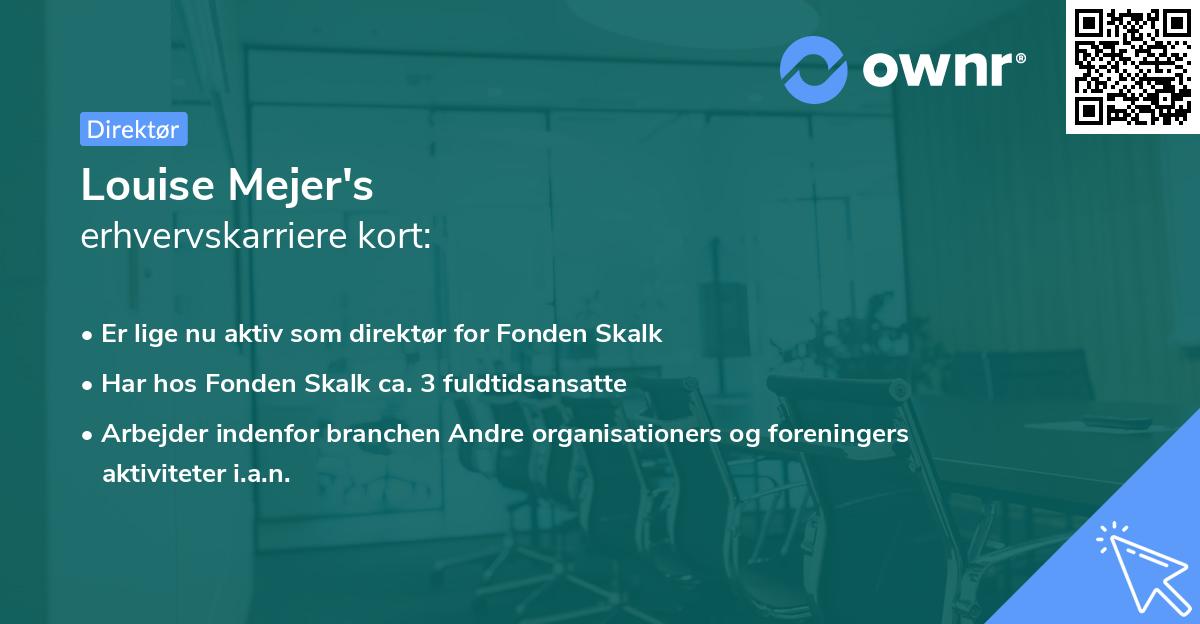 Louise Mejer's erhvervskarriere kort