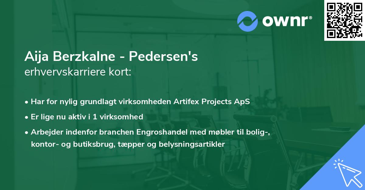 Aija Berzkalne - Pedersen's erhvervskarriere kort