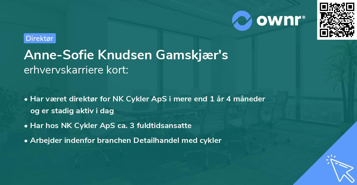 Anne-Sofie Knudsen Gamskjær's erhvervskarriere kort