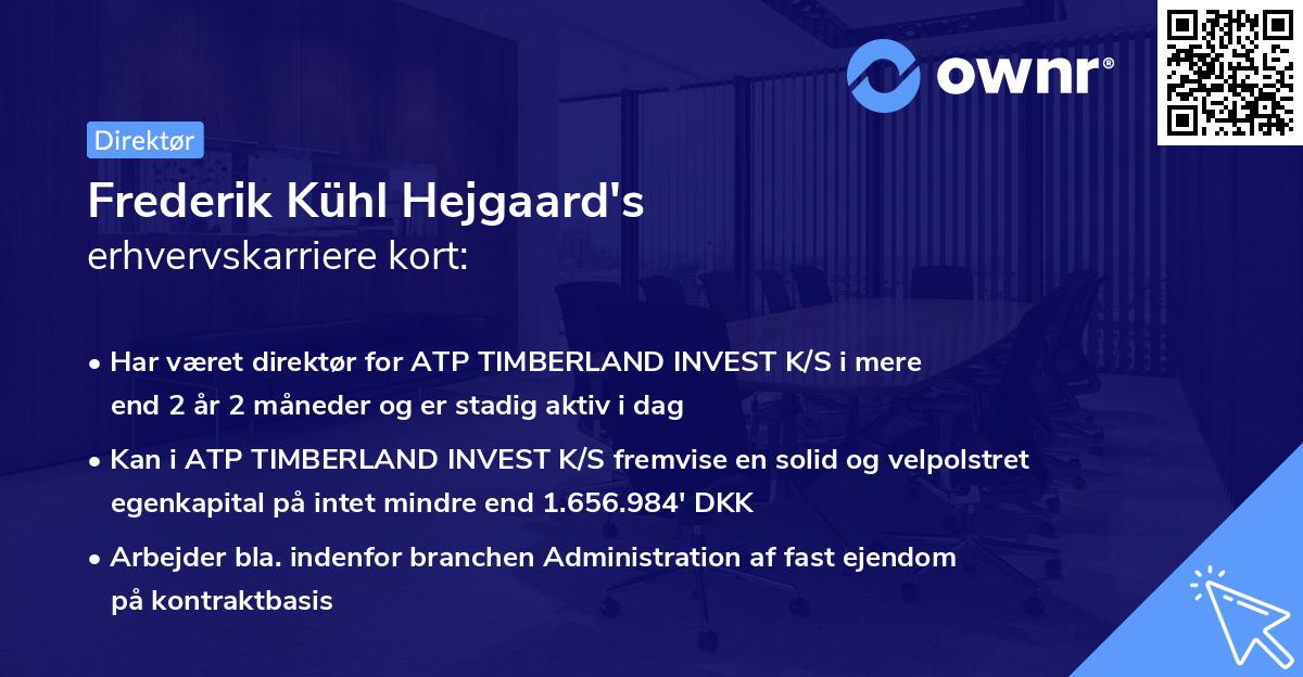 Frederik Kühl Hejgaard's erhvervskarriere kort