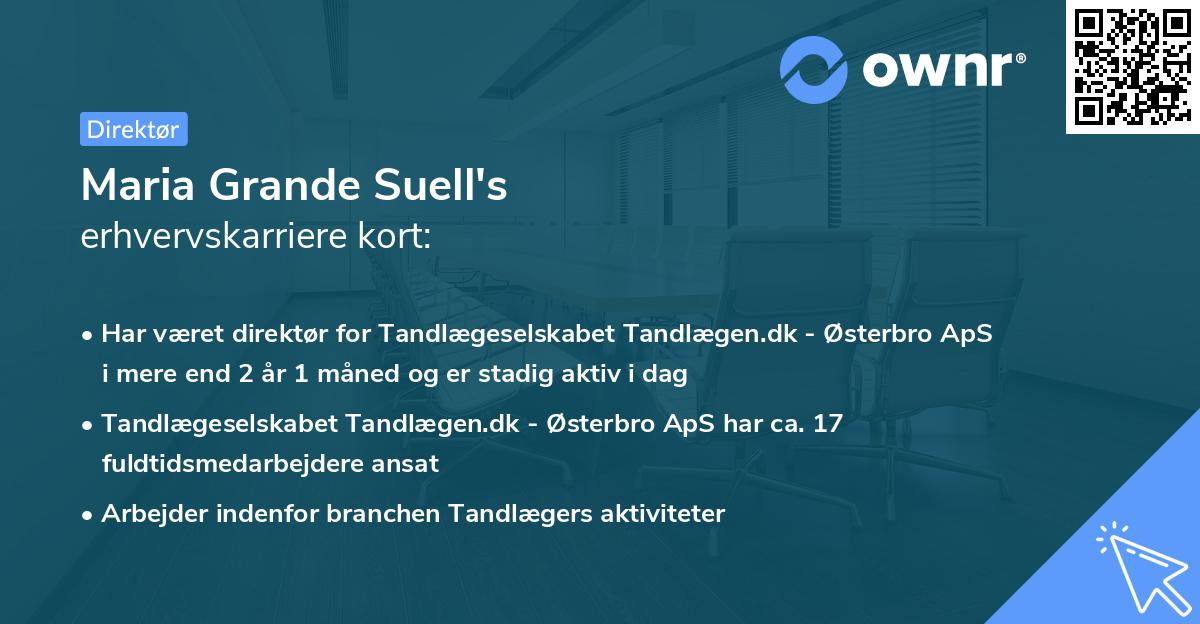 Maria Grande Suell's erhvervskarriere kort