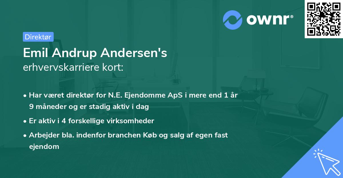 Emil Andrup Andersen's erhvervskarriere kort