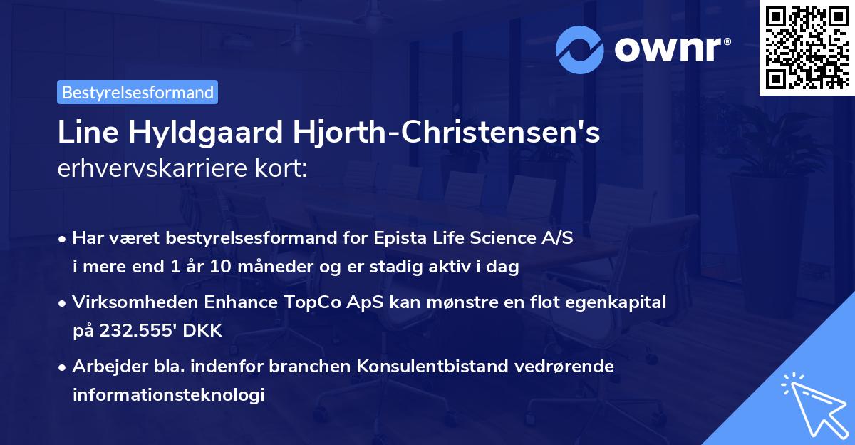 Line Hyldgaard Hjorth-Christensen's erhvervskarriere kort
