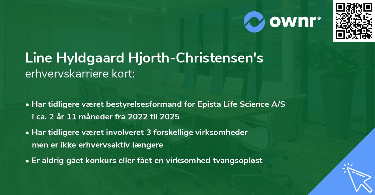 Line Hyldgaard Hjorth-Christensen's erhvervskarriere kort