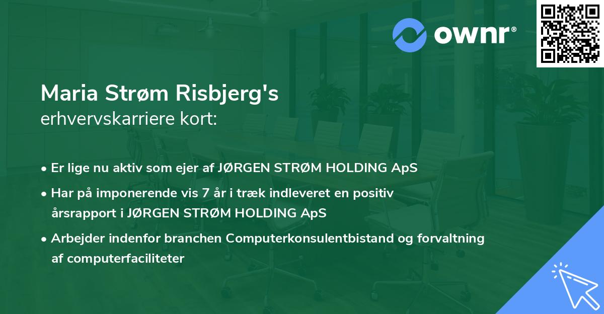 Maria Strøm Risbjerg's erhvervskarriere kort