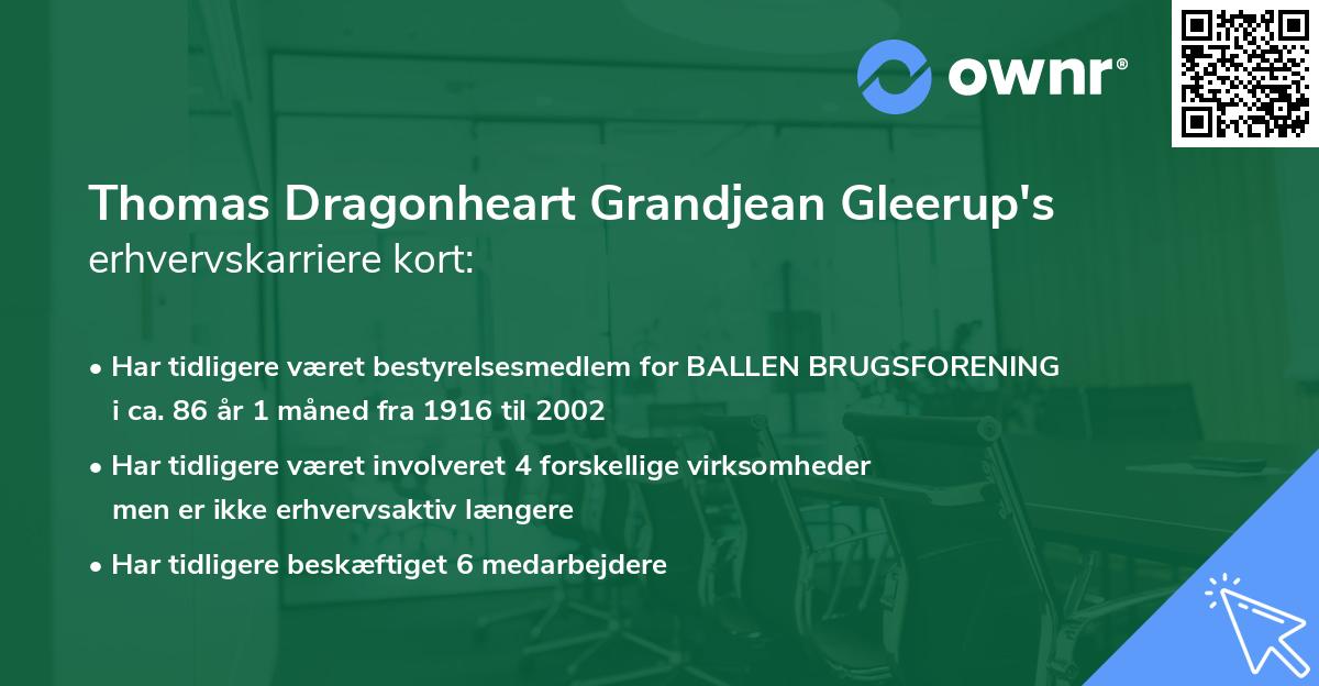 Thomas Dragonheart Grandjean Gleerup's erhvervskarriere kort