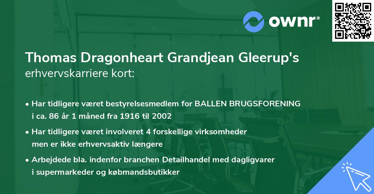 Thomas Dragonheart Grandjean Gleerup's erhvervskarriere kort