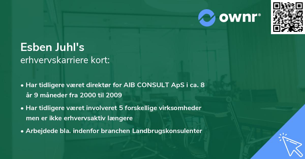 Esben Juhl's erhvervskarriere kort