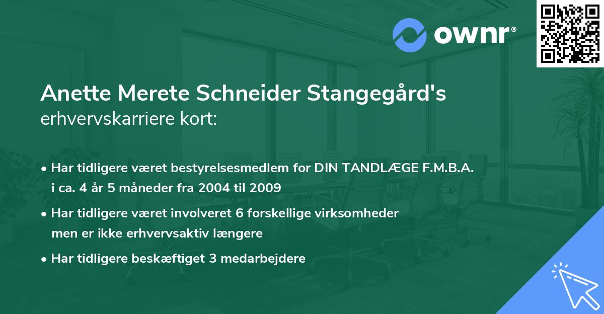 Anette Merete Schneider Stangegård's erhvervskarriere kort