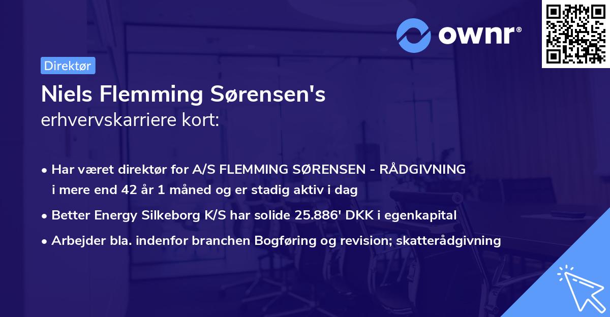 Niels Flemming Sørensen's erhvervskarriere kort