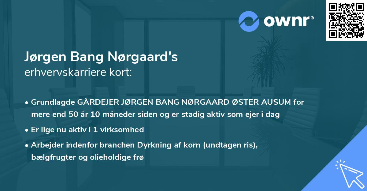 Jørgen Bang Nørgaard's erhvervskarriere kort