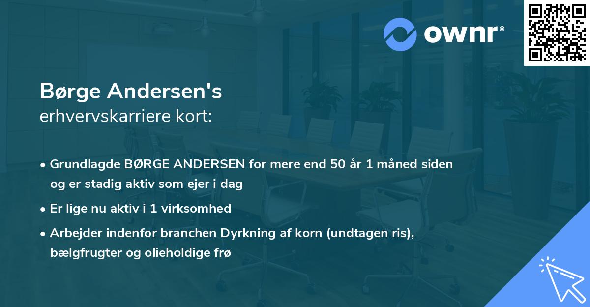 Børge Andersen's erhvervskarriere kort