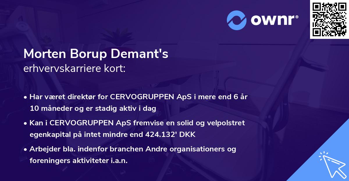 Morten Borup Demant's erhvervskarriere kort