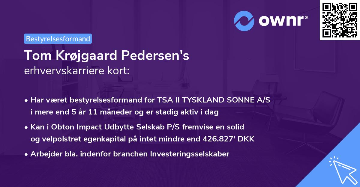 Tom Krøjgaard Pedersen's erhvervskarriere kort