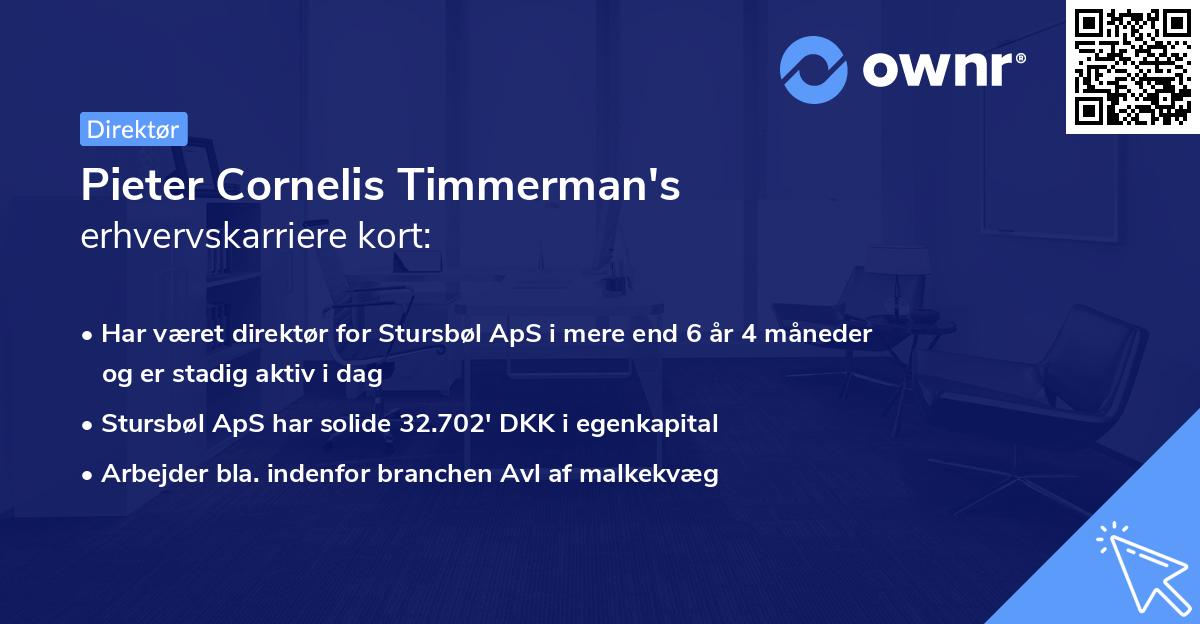 Pieter Cornelis Timmerman's erhvervskarriere kort