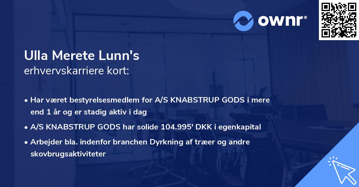 Ulla Merete Lunn's erhvervskarriere kort