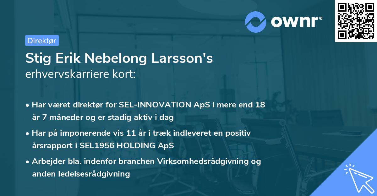 Stig Erik Nebelong Larsson's erhvervskarriere kort