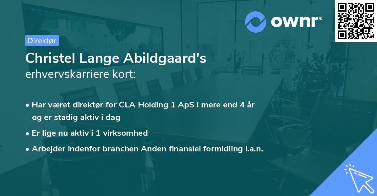 Christel Lange Abildgaard's erhvervskarriere kort