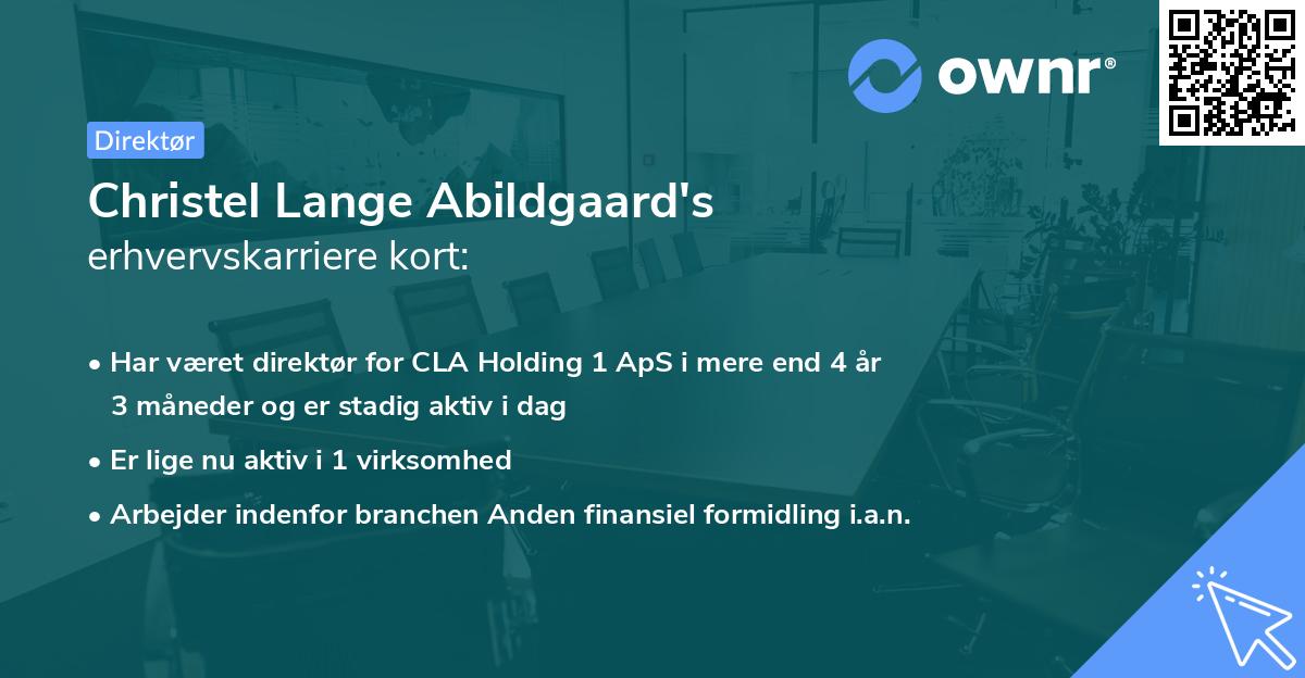 Christel Lange Abildgaard's erhvervskarriere kort