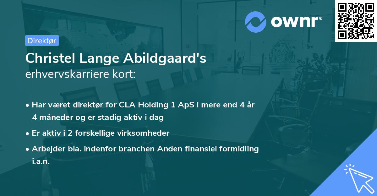 Christel Lange Abildgaard's erhvervskarriere kort