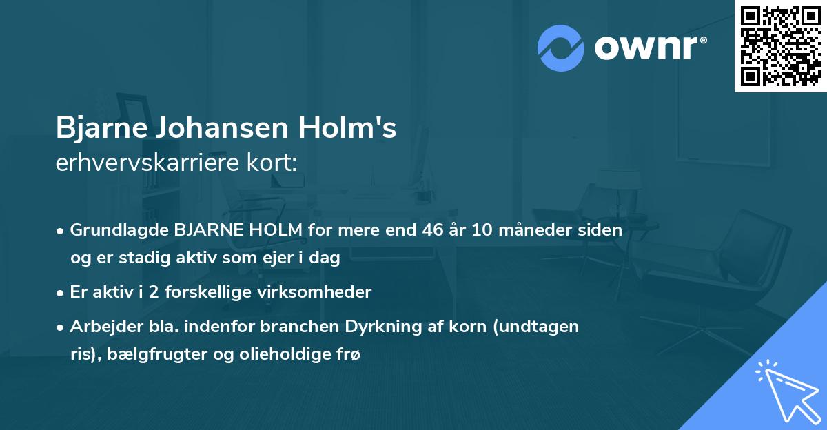 Bjarne Johansen Holm's erhvervskarriere kort