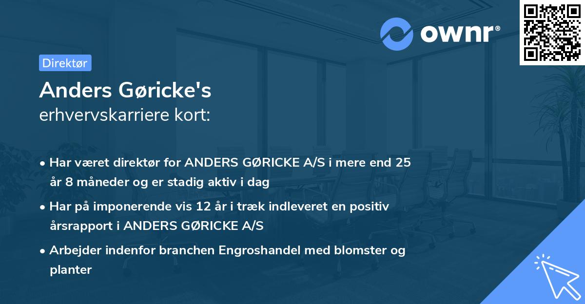 Anders Gøricke's erhvervskarriere kort
