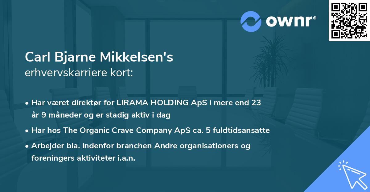 Carl Bjarne Mikkelsen's erhvervskarriere kort