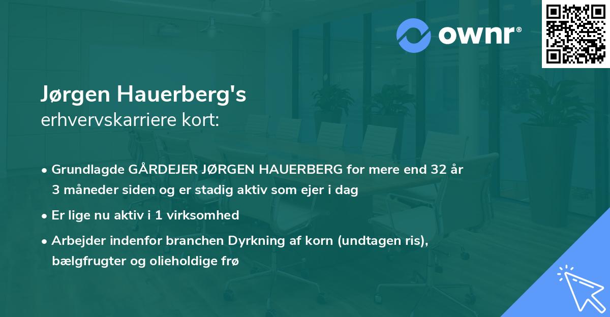 Jørgen Hauerberg's erhvervskarriere kort