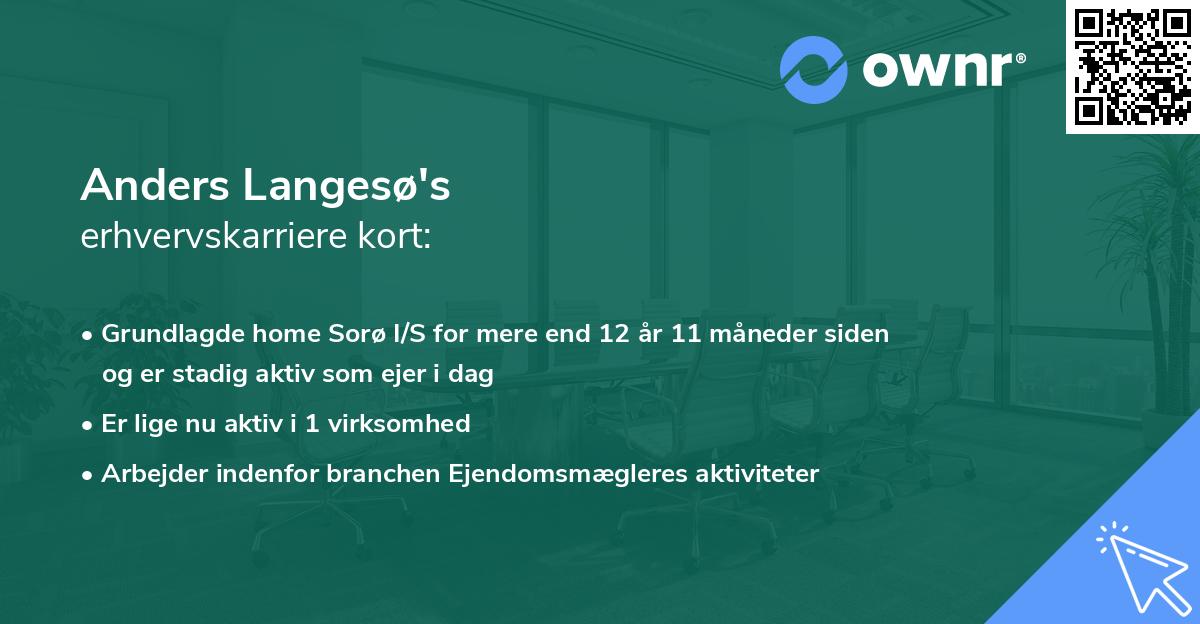 Anders Langesø's erhvervskarriere kort