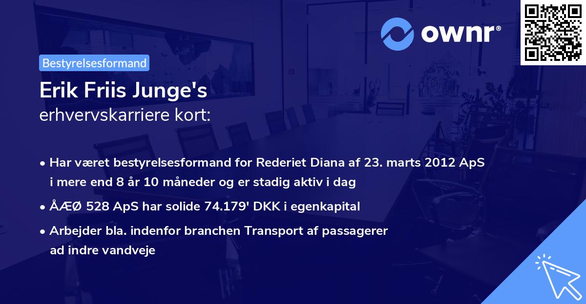 Erik Friis Junge's erhvervskarriere kort
