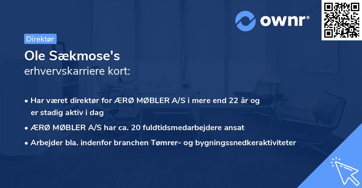 Ole Sækmose's erhvervskarriere kort