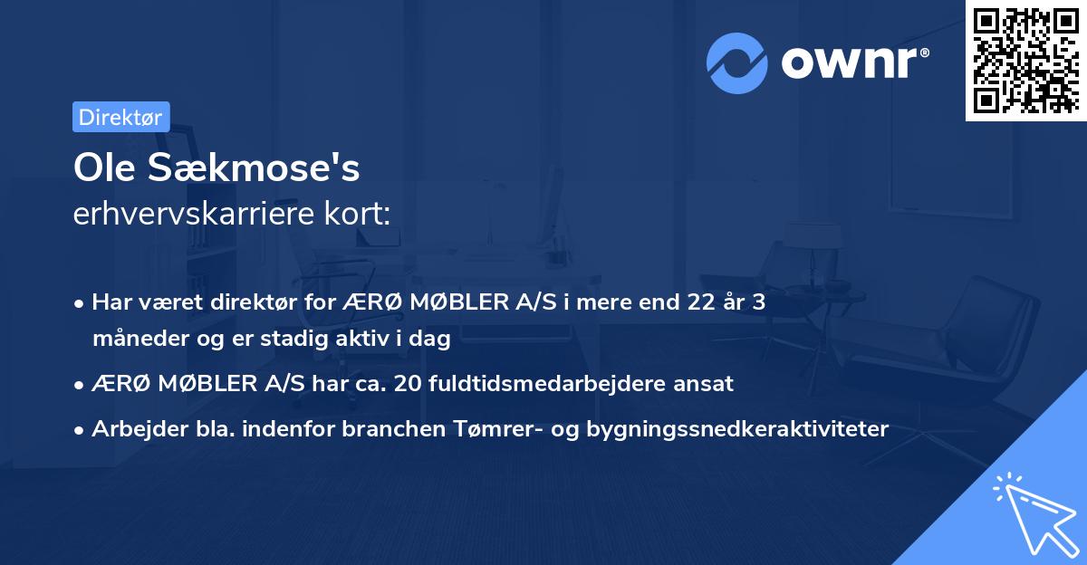 Ole Sækmose's erhvervskarriere kort