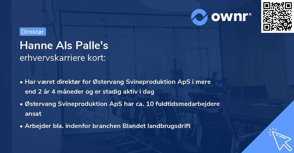 Hanne Als Palle's erhvervskarriere kort