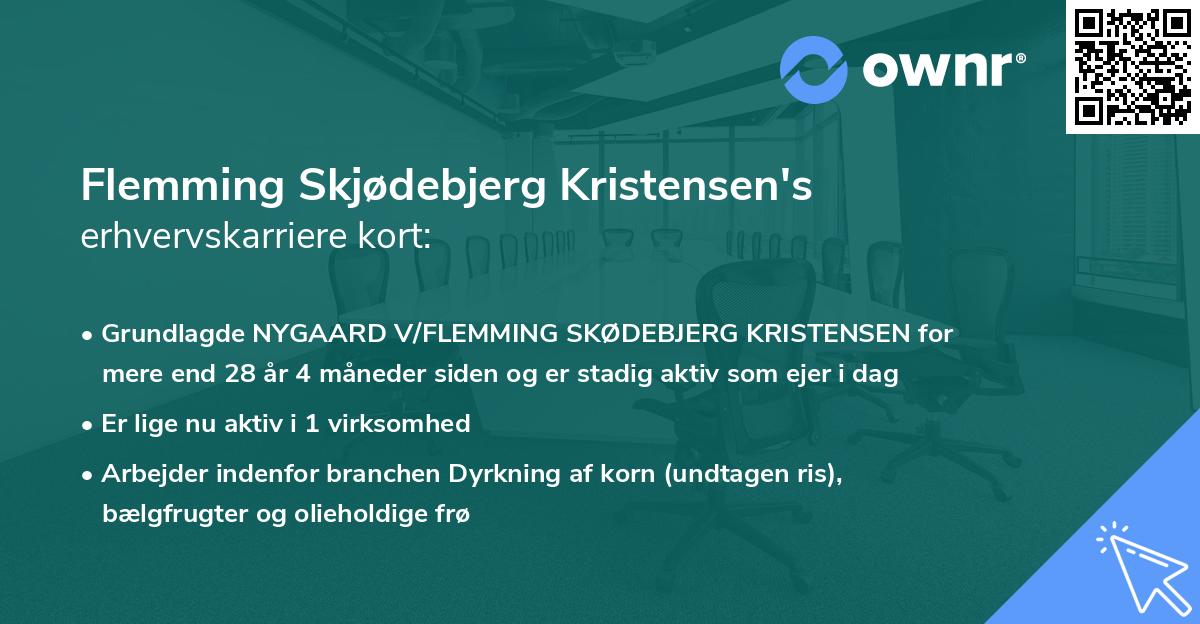 Flemming Skjødebjerg Kristensen's erhvervskarriere kort