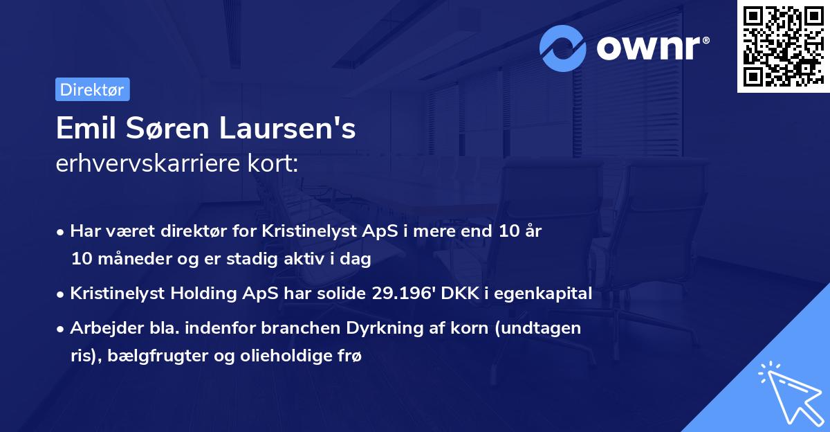 Emil Søren Laursen's erhvervskarriere kort
