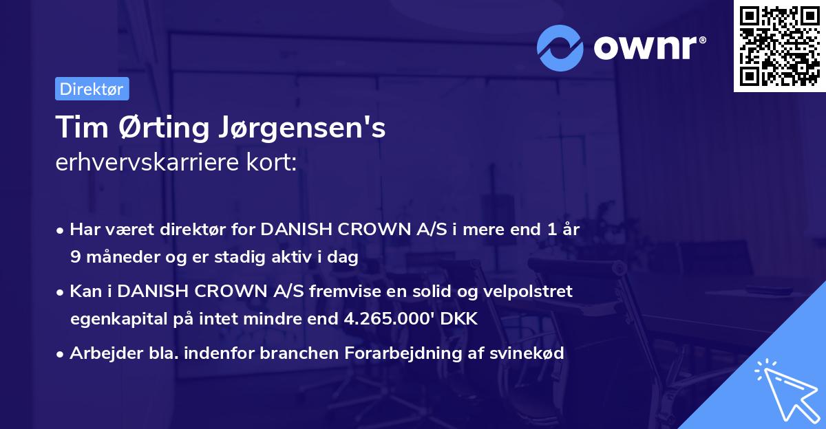 Tim Ørting Jørgensen's erhvervskarriere kort