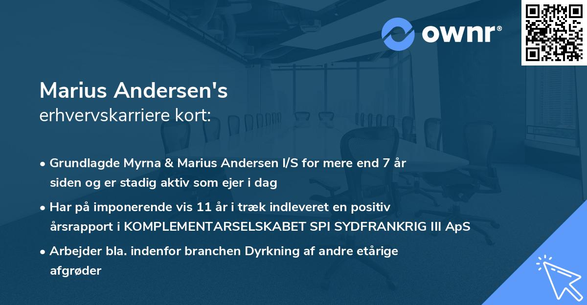 Marius Andersen's erhvervskarriere kort