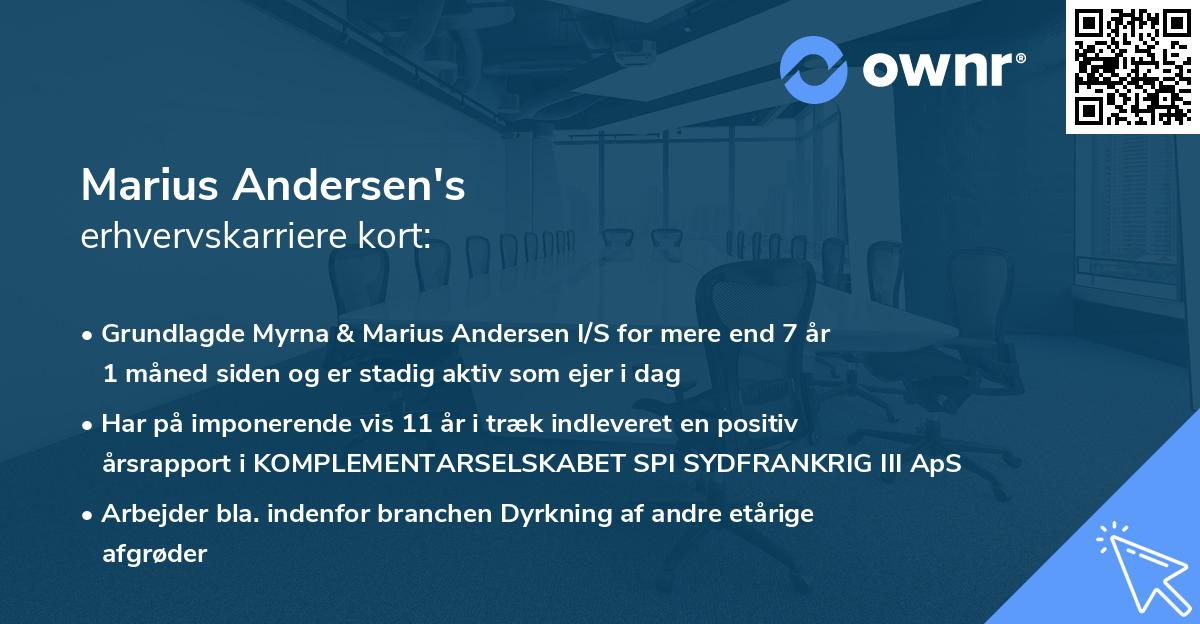 Marius Andersen's erhvervskarriere kort