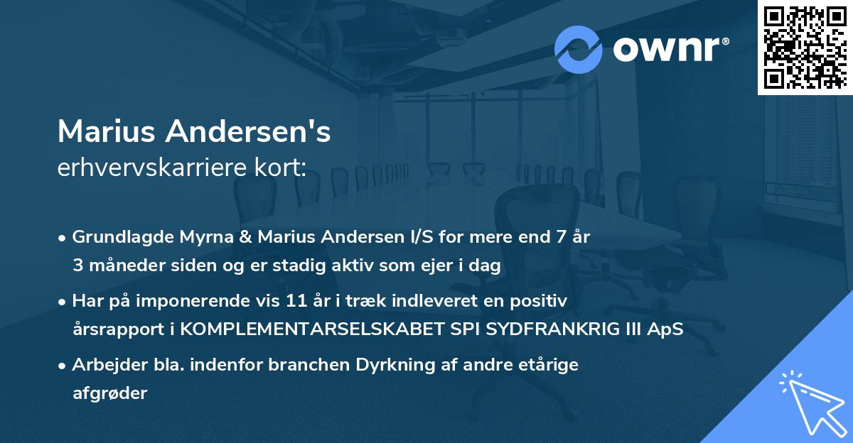 Marius Andersen's erhvervskarriere kort